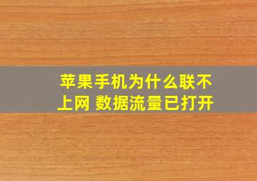 苹果手机为什么联不上网 数据流量已打开